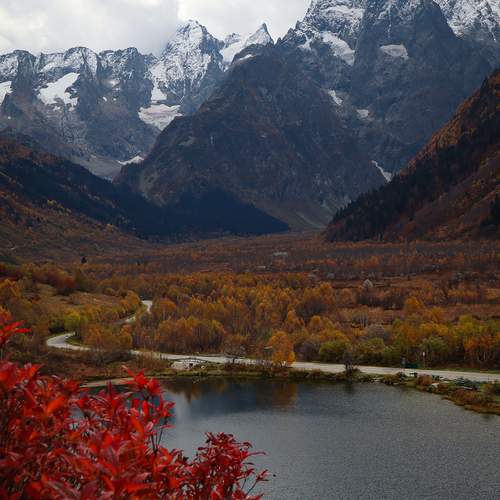 Photo #12006634