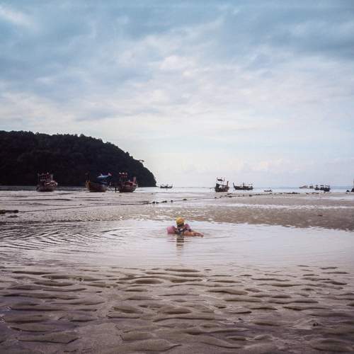 Photo #12006640