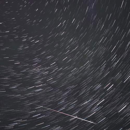 Photo #12006865