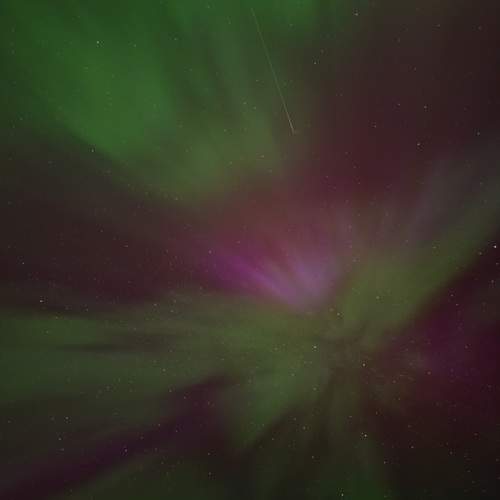 Photo #12006869