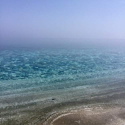 Photo #12007090