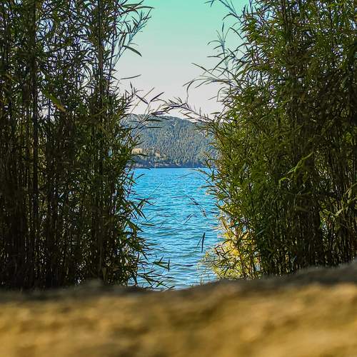 Photo #12007143