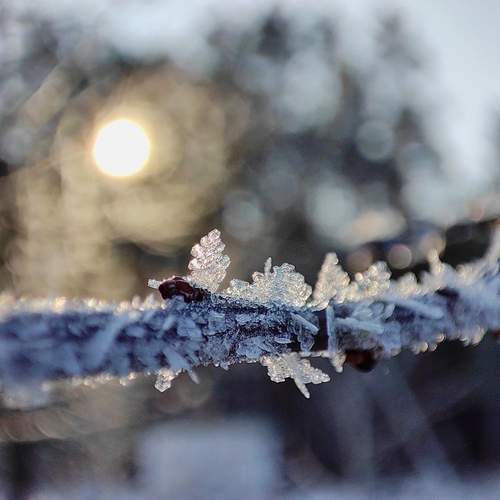 Photo #12007269