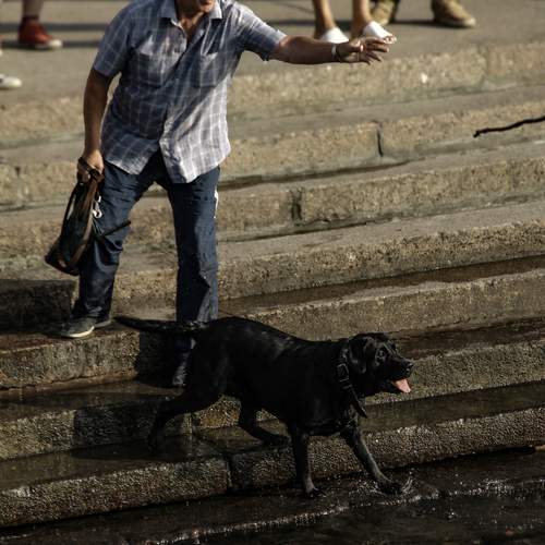 Photo #12007328