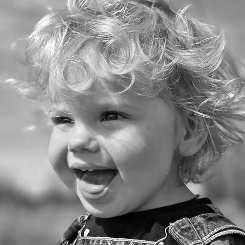 Photo #12007548