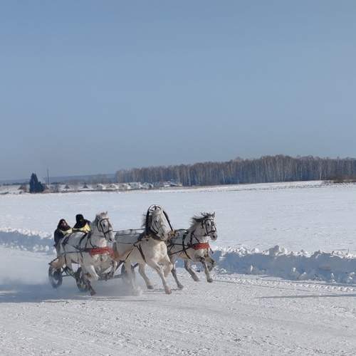 Photo #12007754
