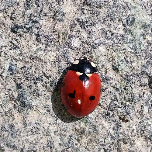 Photo #12007799