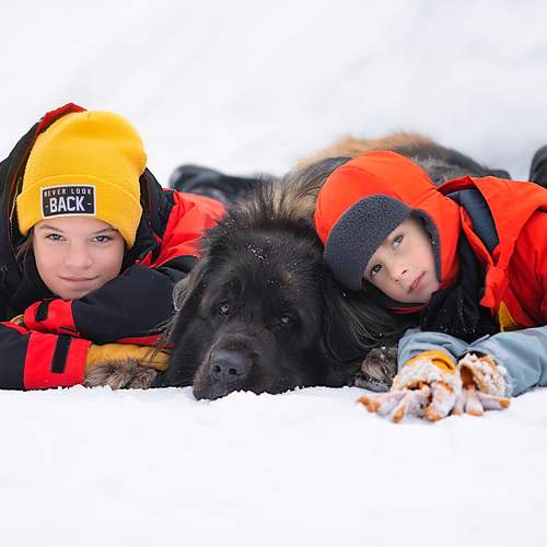 Photo #12007920