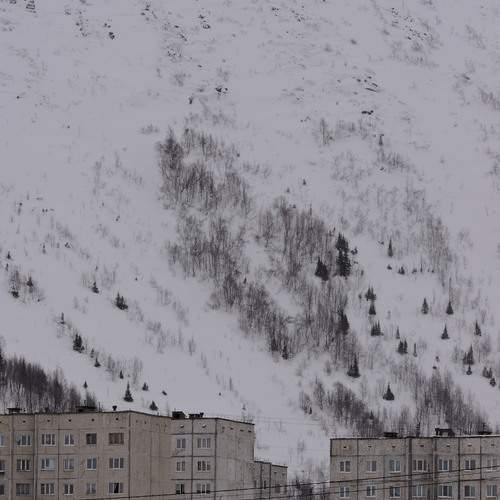 Photo #12008025