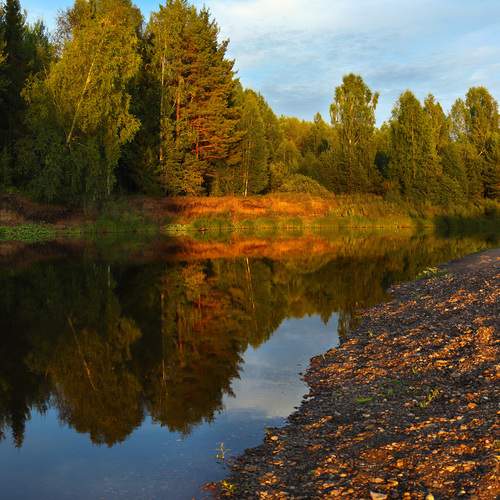 Photo #12008382