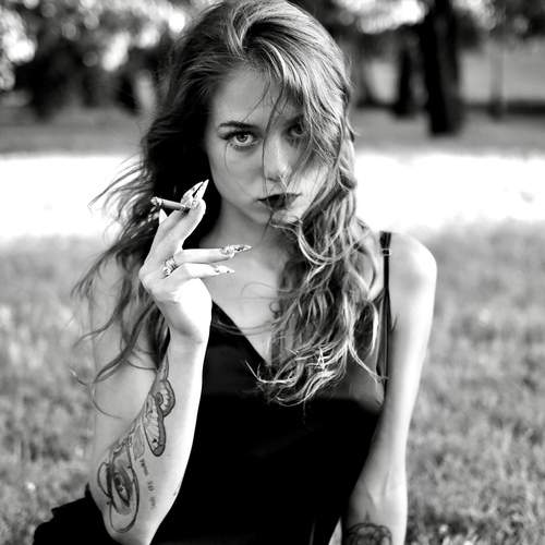 Photo #12008837