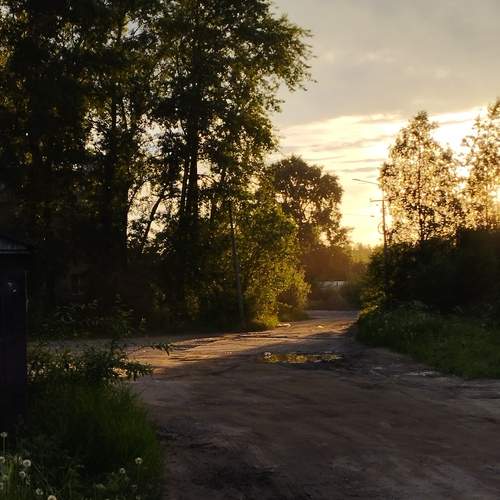 Photo #12009118