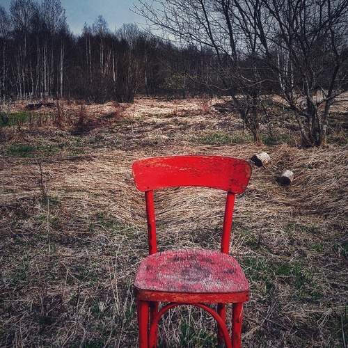 Photo #12009228
