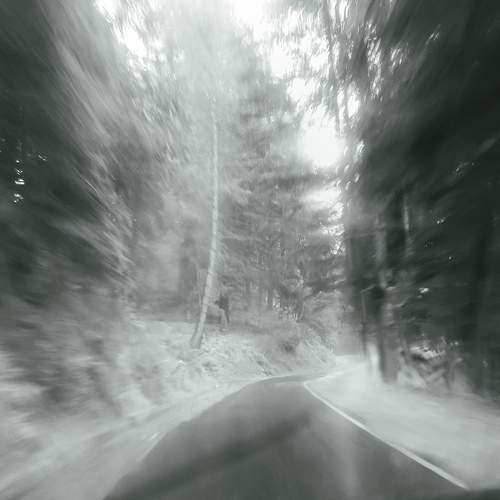 Photo #12009247
