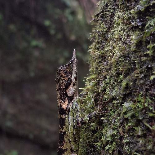 Photo #12009498