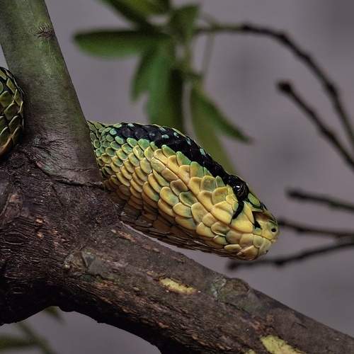 Photo #12009499