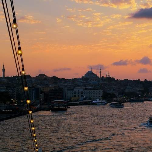 Photo #12009508