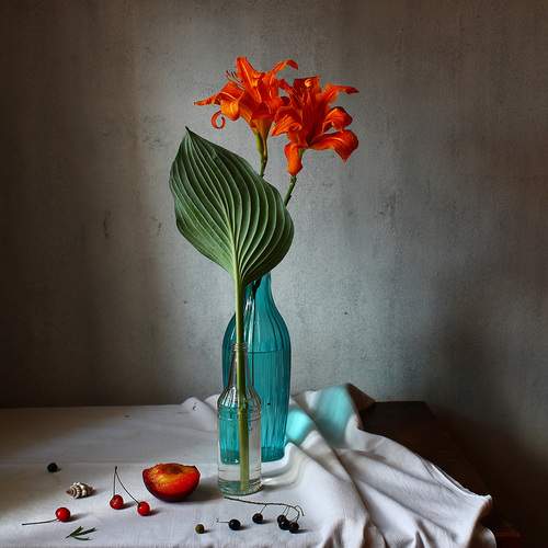 Фотография #12009582