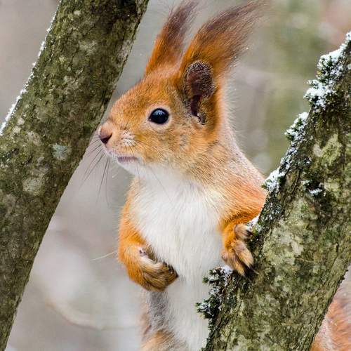 Photo #12009676
