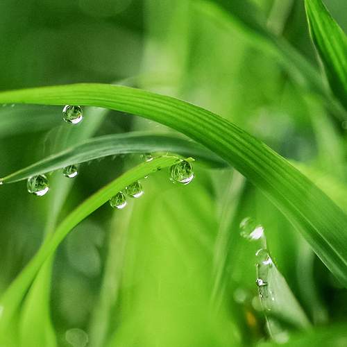 Photo #12009702