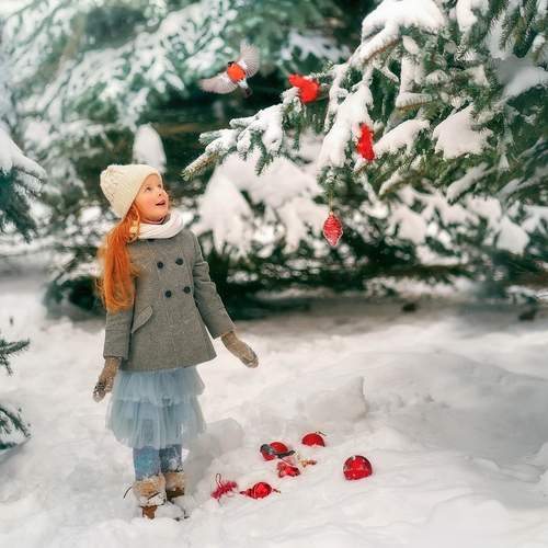 Photo #12009857