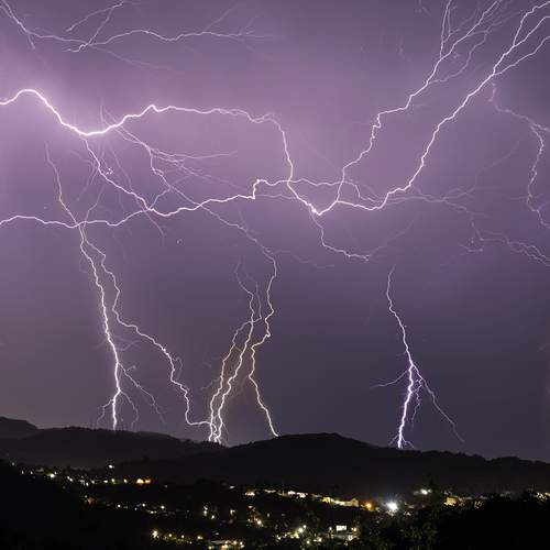 Photo #12009935