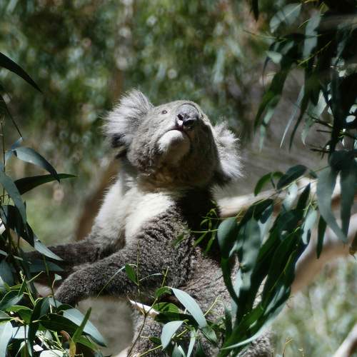 Photo #12010018