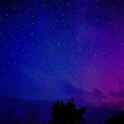 Photo #12010286