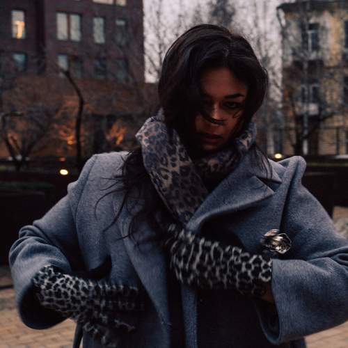 Photo #12010434