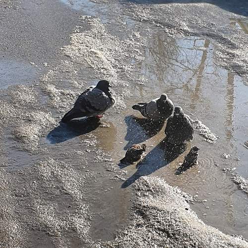Photo #12010664