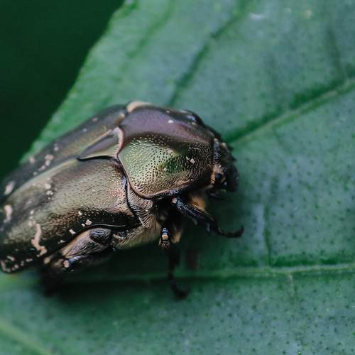 Photo #12010832