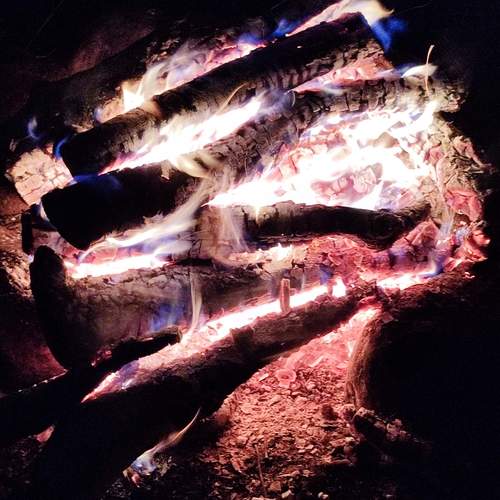 Photo #12010891