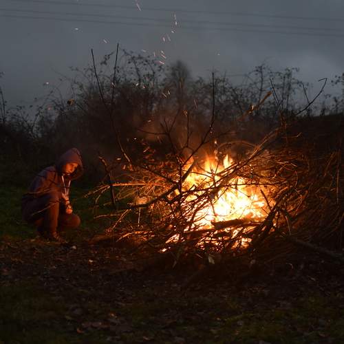 Photo #12010962