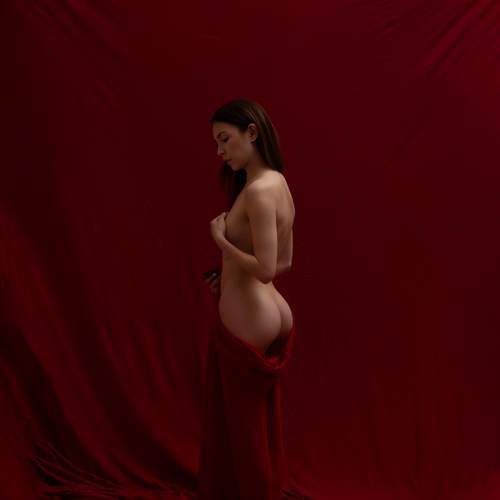 Photo #12011040