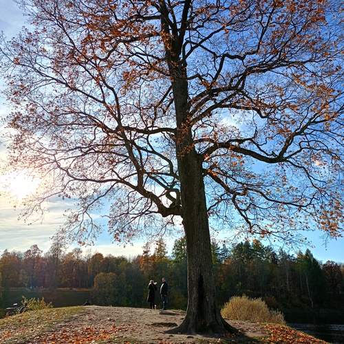 Photo #12011257