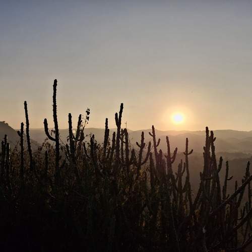 Thar Desert