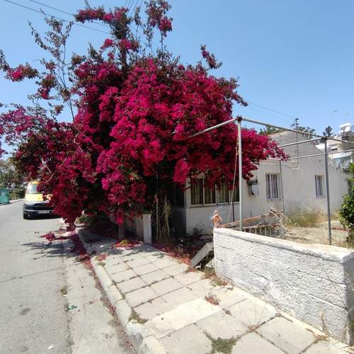 Photo #12011276
