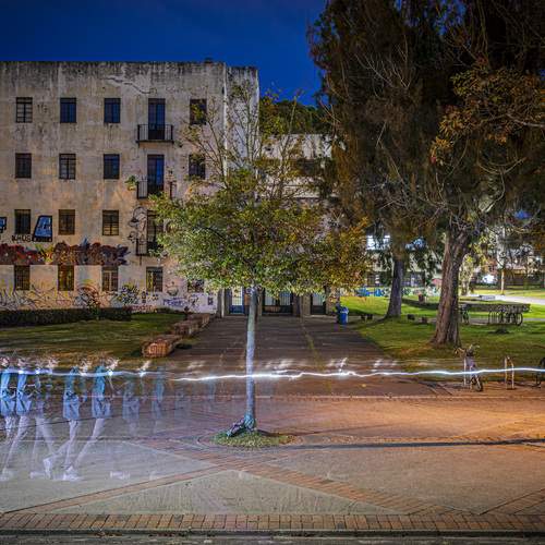 Zombiewalking in White University City 1
