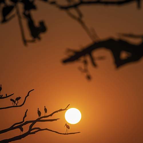 Photo #12011484
