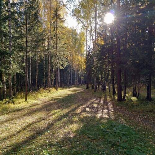 Photo #12011533