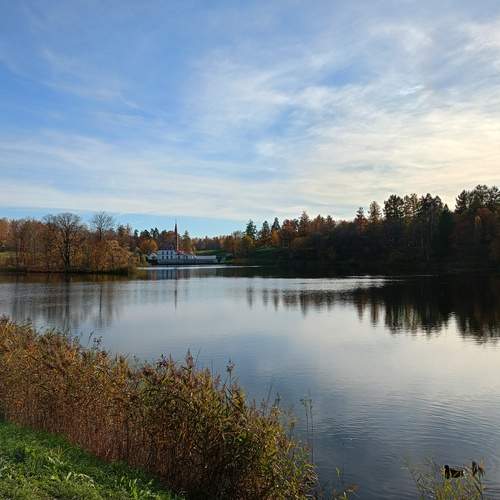 Photo #12011628