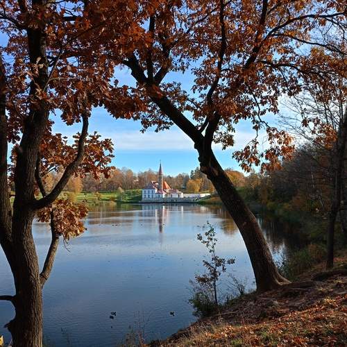 Photo #12011631