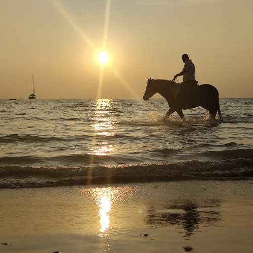 Photo #12011634