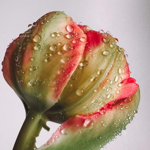 Photo #12011918