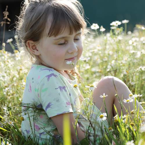 Photo #12011960