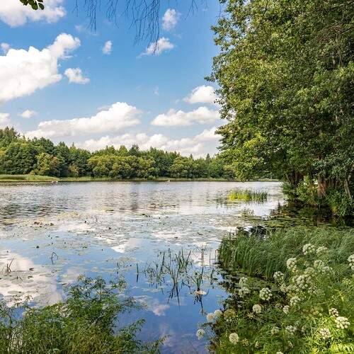 Река Дубравка