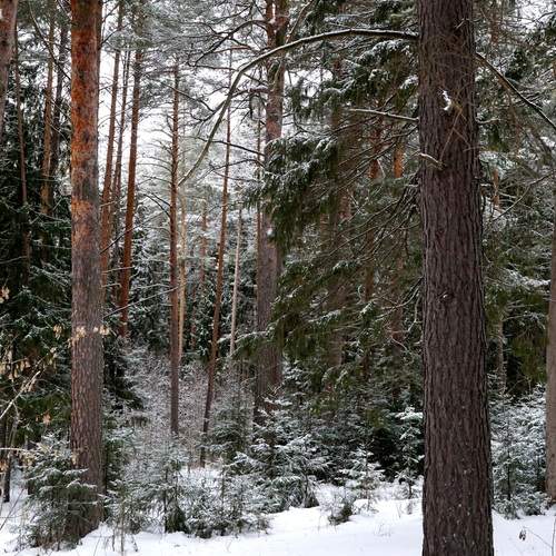 Photo #12012306