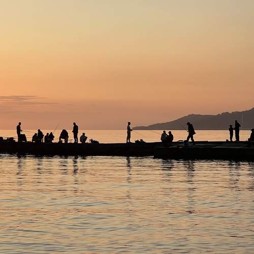 Photo #12012375