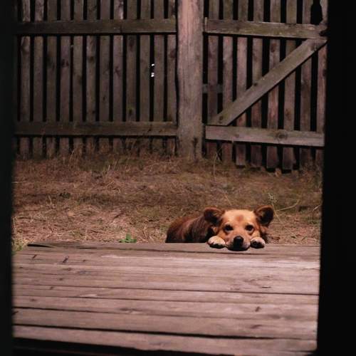 Photo #12012411