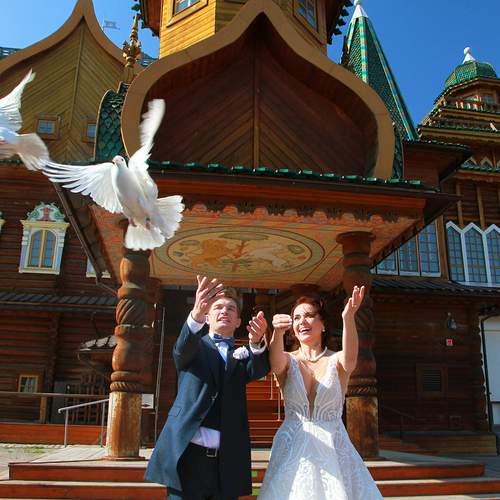 Photo #12012487
